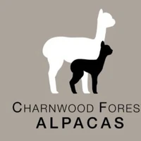 The Riding School at Charnwood Forest Alpacas