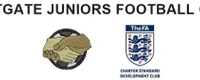 Newcastle Westgate Football Club
