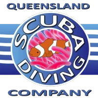 Wonder Reef Diving - Gold Coast Scuba Dive