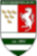 Rotherfield Football Club