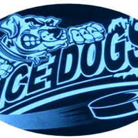 Ice Dogs Hockey Camps