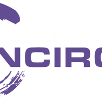 CrossFit Encircle