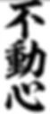 Fudoushin Aikido