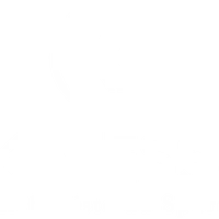 Kinessi