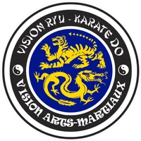 Vision Martial Arts - School Karate De Lvis
