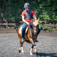 Black Cat Equestrian Centre