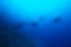 Hereford Sub Aqua Club