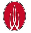 Wu Xing Martial Arts