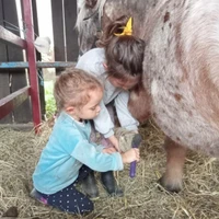 École d'Équitation du Dicosa