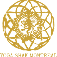 Yoga Shak Montreal