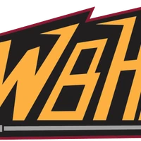 Withrow Ball Hockey Academy
