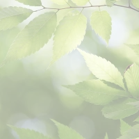 Entre Ciel et Terre - Geobiologue - Radiesthésiste - Chamanisme.
