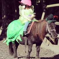 Finlake Riding Centre