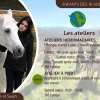 Camps D'été Equiterre
