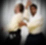 Aikido Canada - International School School Downtown Montreal
