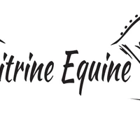 Citrine Equine
