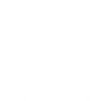 La Canopée - LYONSO Basket