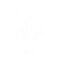 BSAC WA -B2536 Inc