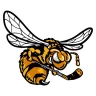 Alvinston Killer Bees Senior Hockey Club