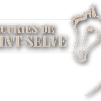Les Écuries de St Selve
