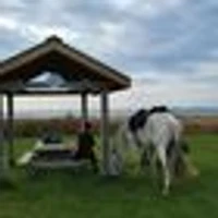 A Few Good Mares Riding Adventures