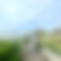 Promenade À Cheval Pont De Gau