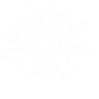 Qi Gong / Tai Chi Chuan