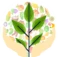 Marie Muller Diététicienne Nutritionniste