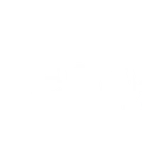 Terry Avis Health and Lifestyle