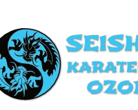 Seishin karate do
