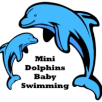Mini Dolphins