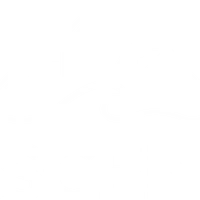Ascend Movement Training
