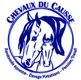 Chevaux du Causse - Randonnées équestres, Elevage Pintabian