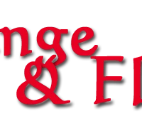 Ange Et Flo Salsafever Besançon