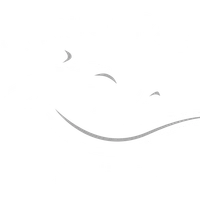 Run Away Racing
