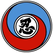 Shaolin Kung Fu Nam Pai Chuan