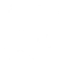 Whitford Pony Club