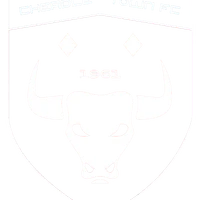 Cheadle Town Football Club