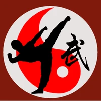 Kung Fu Lyon