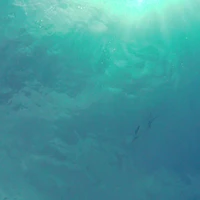 Sunny Beach Pools