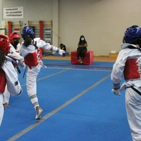 Seneca Taekwondo