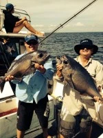 fishbermi Charters