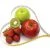 Get Set Go, Nutrition, Fitness and Wellness