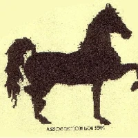 Equus Loisirs