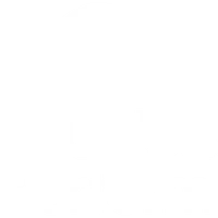 Unleashed Performance