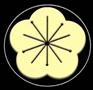 AWTA - Authentic Wing Tsun Academy (Wing Chun)