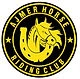 Ajmer horse riding club