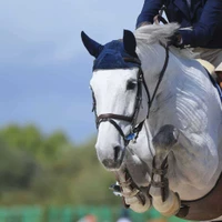 Blue Barn Equestrian Centre