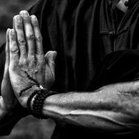 Academy Wushu Pyrénées