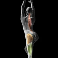 Pro-Align - Physio Pilates, Seniors Fitness Class, Pilates Physiotherapy